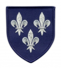 Herb Temerii - granatowa tarcza