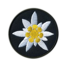 Szarotka Alpejska - KWIAT GÓR